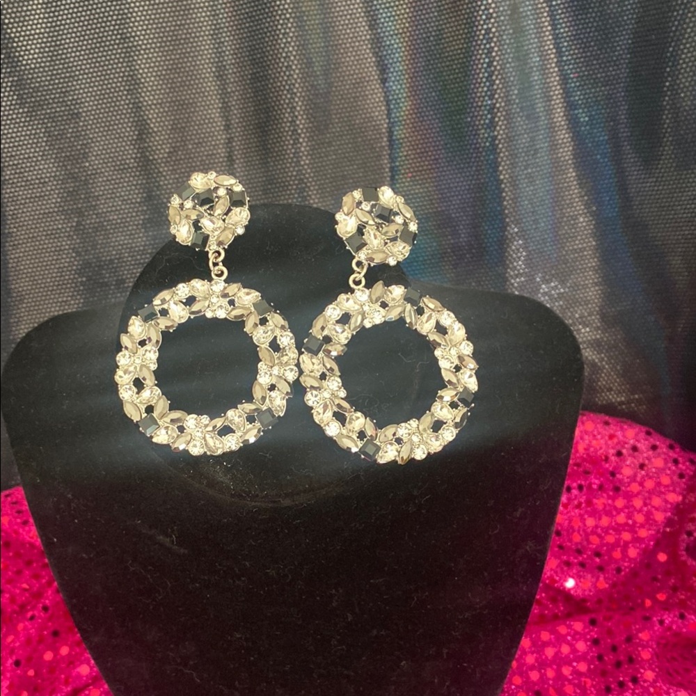 Elegant Silver Hoop Earrings